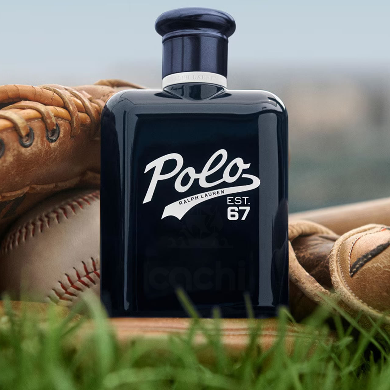 Polo 67 edt