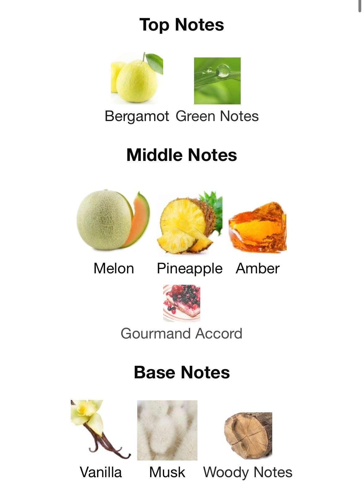 Amber Oud Gold Edition