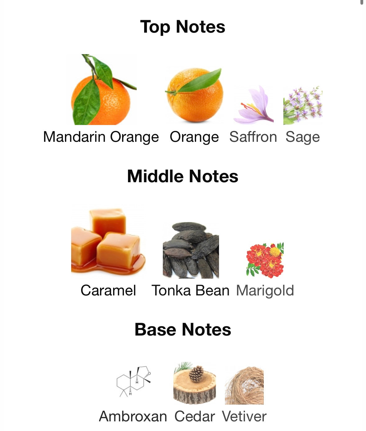 Odyssey Mandarin Sky