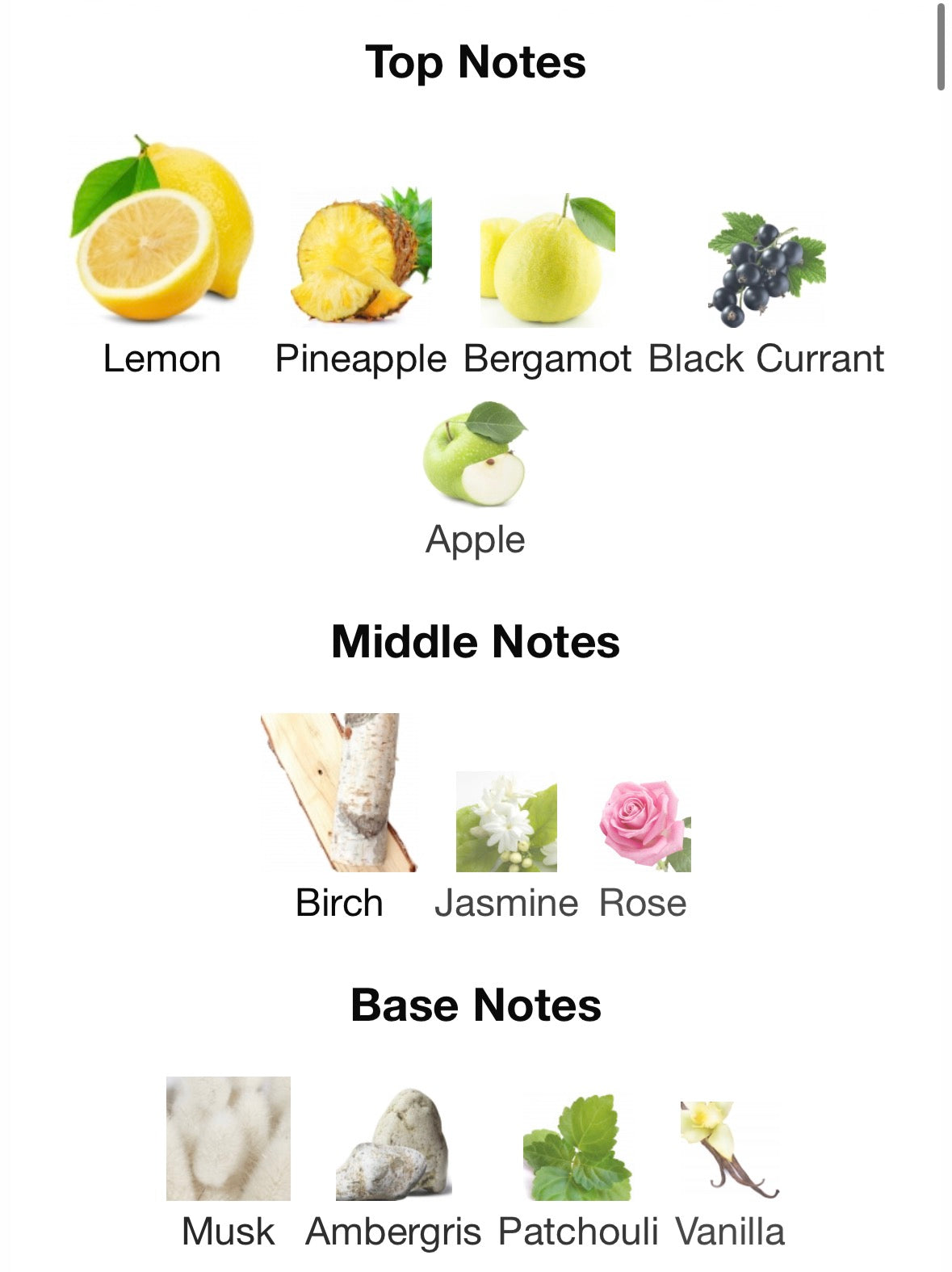 Club De Nuit Intense Man